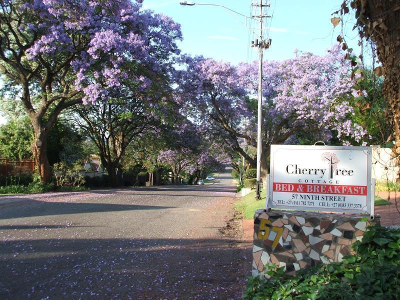 Cherry Tree Cottage B&B Linden Joanesburgo Exterior foto