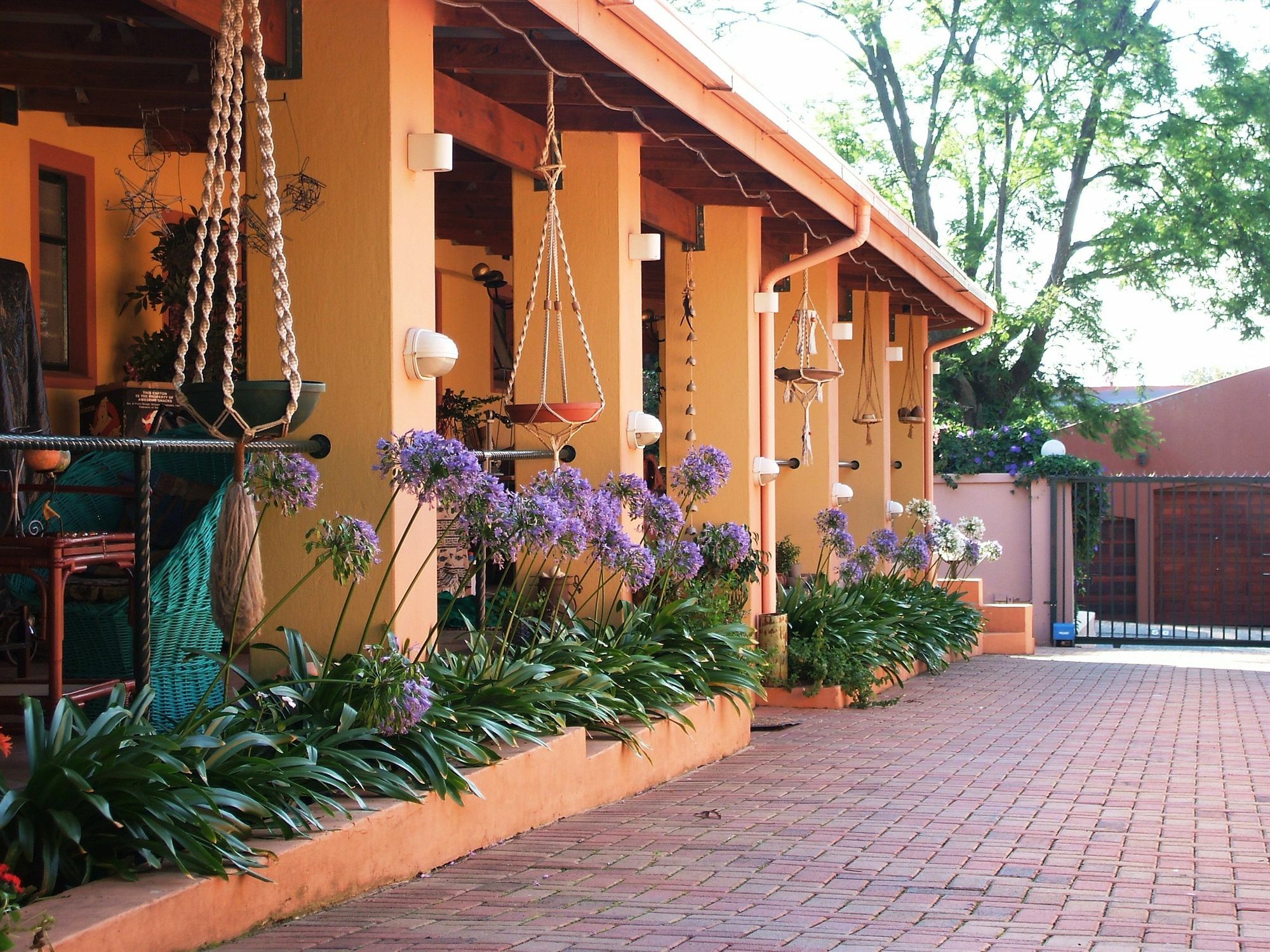 Cherry Tree Cottage B&B Linden Joanesburgo Exterior foto
